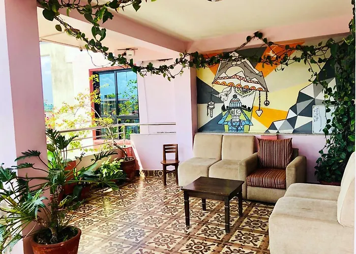 Backyard Hotel