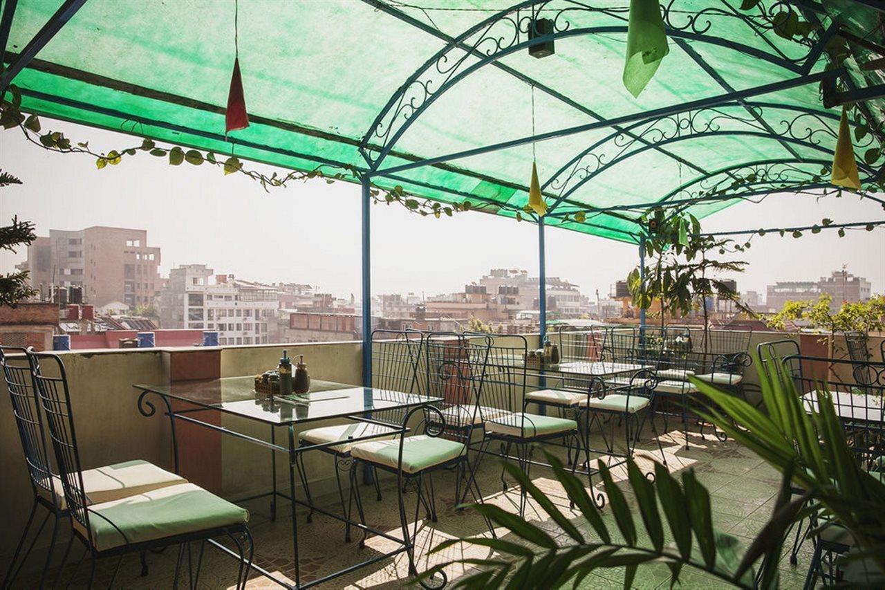 Hotel Backyard